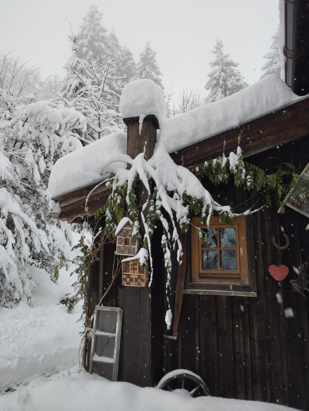 Vila Binderhaeusl Thiersee Exteriér fotografie